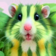 ͷ��