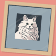 ͷ��