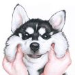 ͷ��
