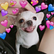ͷ