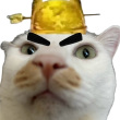 ͷ��