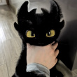 ͷ��