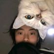 ͷ��