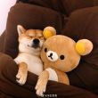 ͷ��