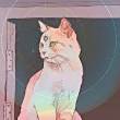 ͷ