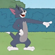 ͷ