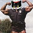 ͷ