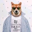 ͷ��