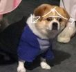 ͷ��