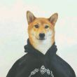 ͷ��