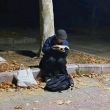 ͷ��