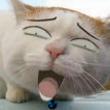 ͷ��