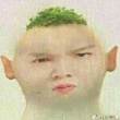 ͷ