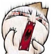 ͷ
