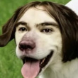 ͷ��