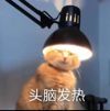ͷ��