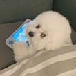 ͷ