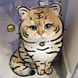 ͷ