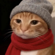 ͷ��