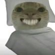 ͷ��