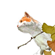 ͷ