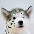 ͷ