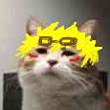 ͷ