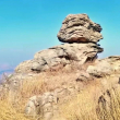 ͷ��