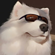 ͷ