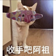 ͷ