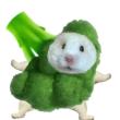 ͷ��