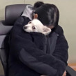ͷ