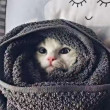 ͷ