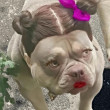 ͷ