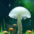ͷ��