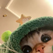 ͷ