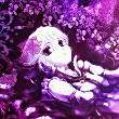 ͷ