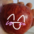 ͷ��