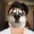 ͷ��