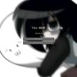 ͷ��
