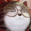 ͷ