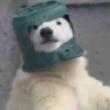 ͷ��