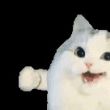 ͷ��