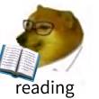 ͷ