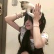 ͷ��