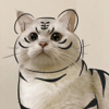 ͷ��