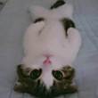 ͷ