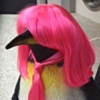 ͷ