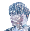 ͷ