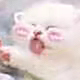 ͷ